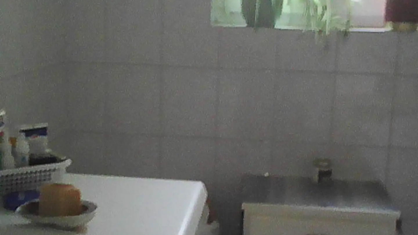 Wohnung mieten - Via Borsatt 3, 6965 Cadro - Foto 4