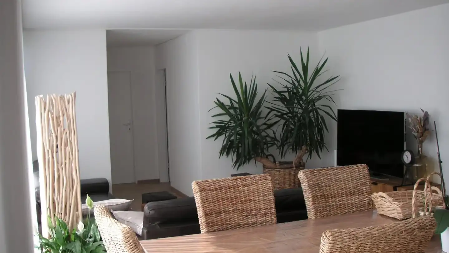 Appartement en terrasse à louer - General-Guisan-Strasse 1, 5000 Aarau
