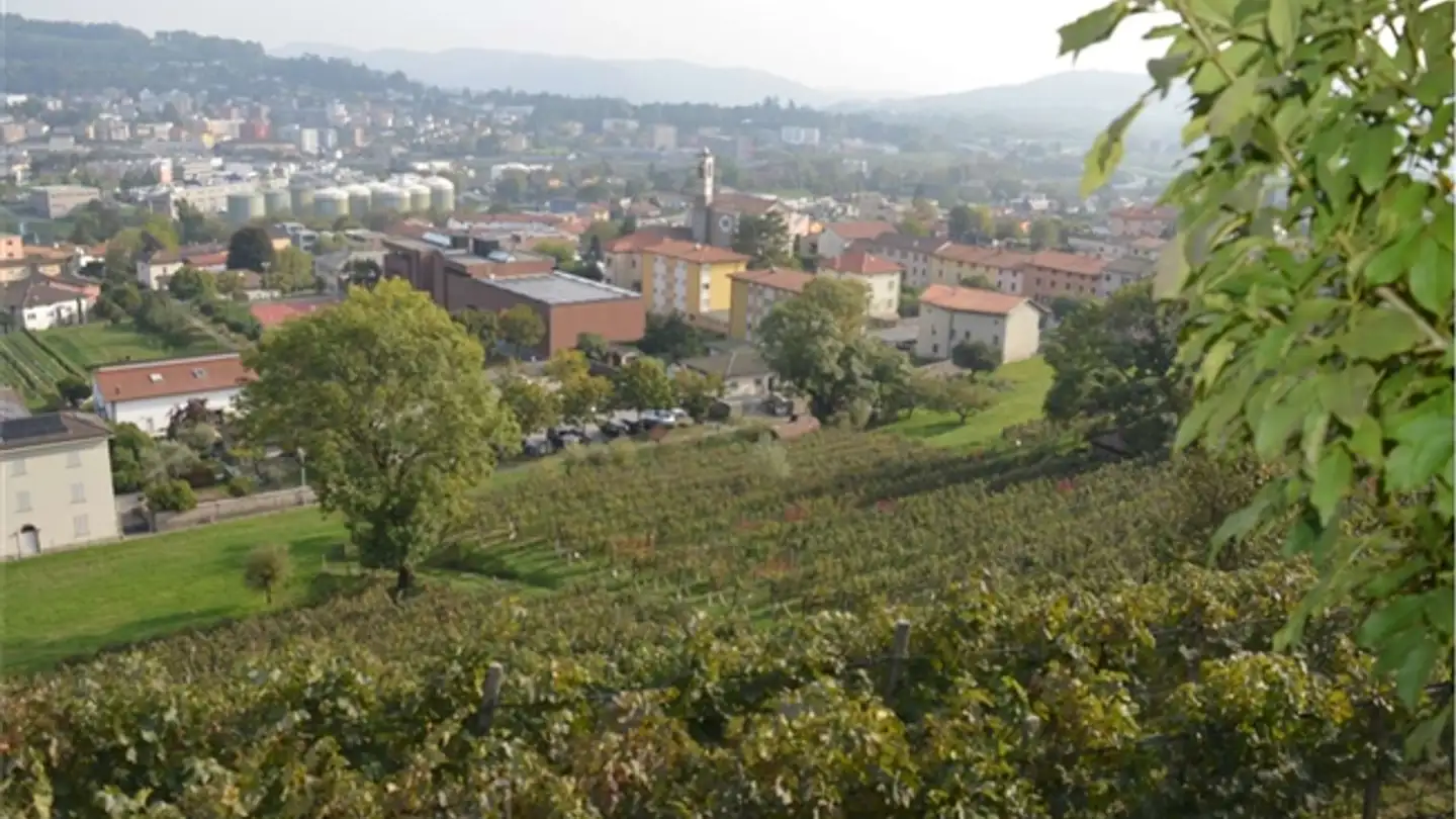 Villa in vendita - 6862 Rancate - Foto 2