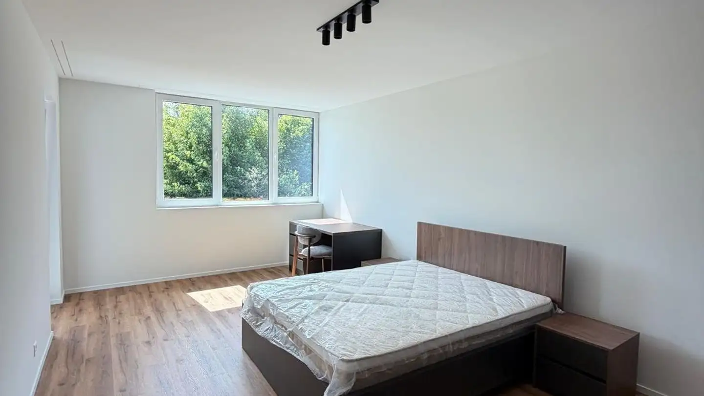Single room for rent - Grossmattrain 4, 8964 Rudolfstetten - Photo 2