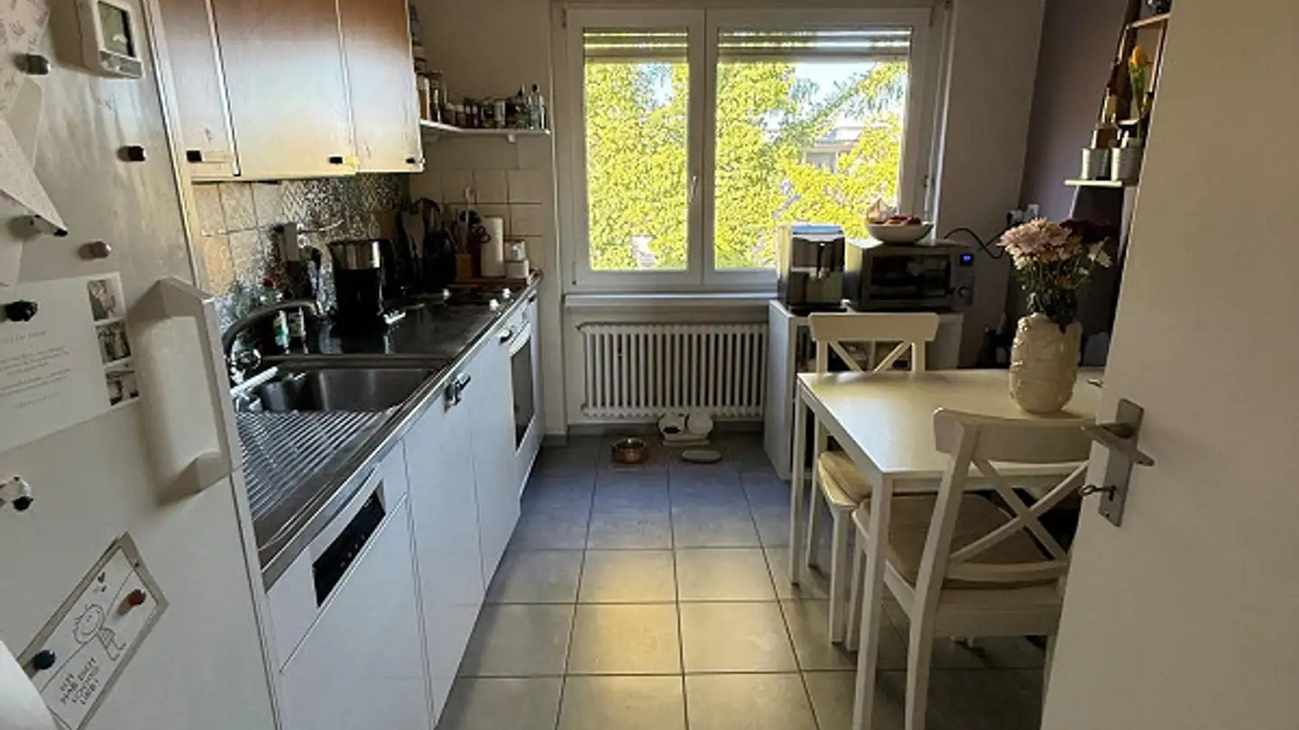 Penthouse for rent - Untere Dorfstrasse 46, 8964 Rudolfstetten - Photo 3
