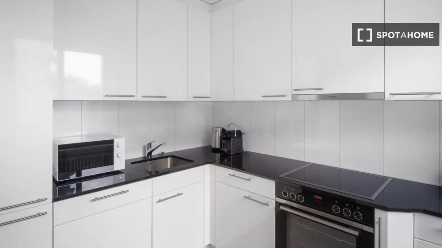 Appartement à louer - 8050 Zürich - Photo 4