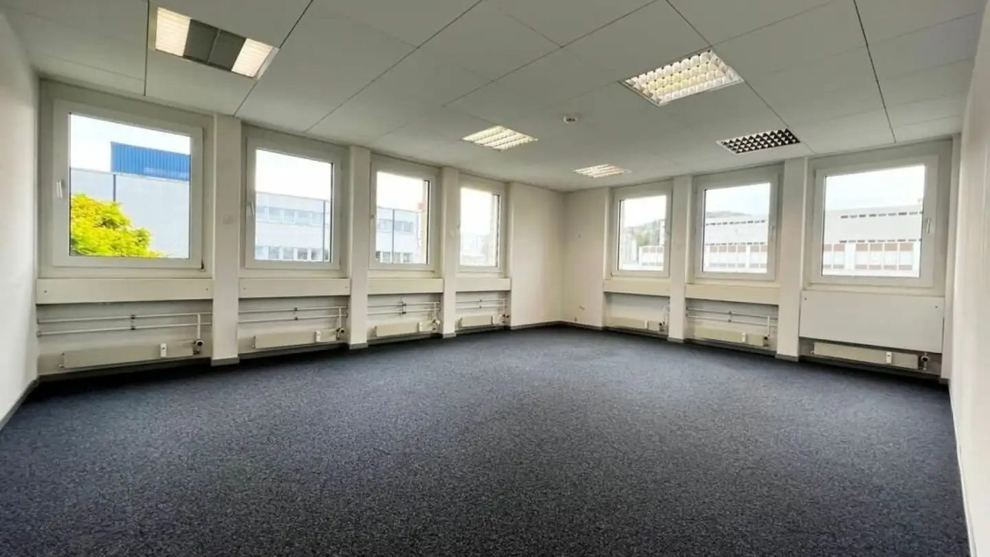 Office space for rent - Schneckelerstrasse 9, 4414 Füllinsdorf - Photo 2