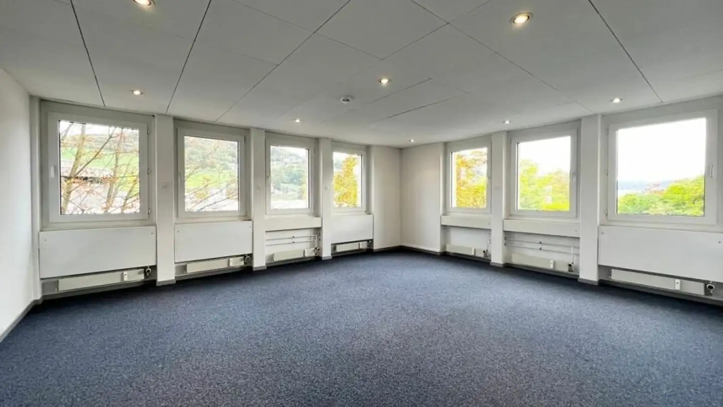 Office space for rent - Schneckelerstrasse 9, 4414 Füllinsdorf - Photo 3