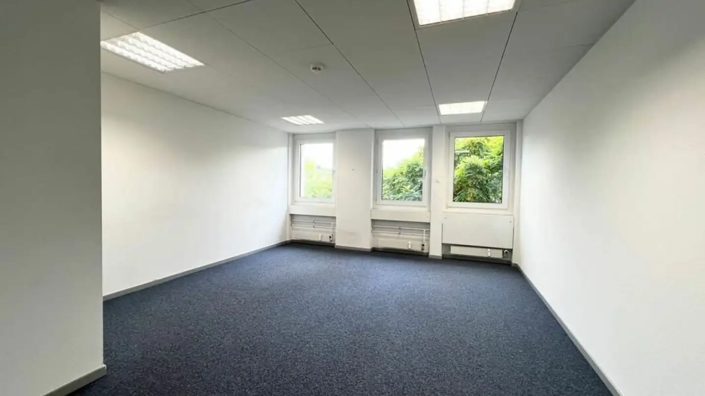 Office space for rent - Schneckelerstrasse 9, 4414 Füllinsdorf - Photo 4