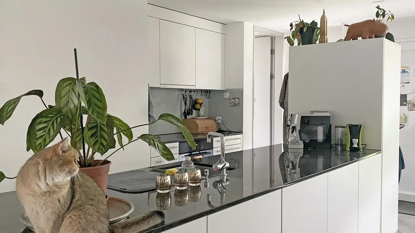 Apartment for rent - Gseckstrasse 20, 8707 Uetikon am See - Photo 2