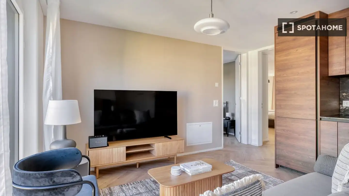 Wohnung mieten - 8055 Zürich