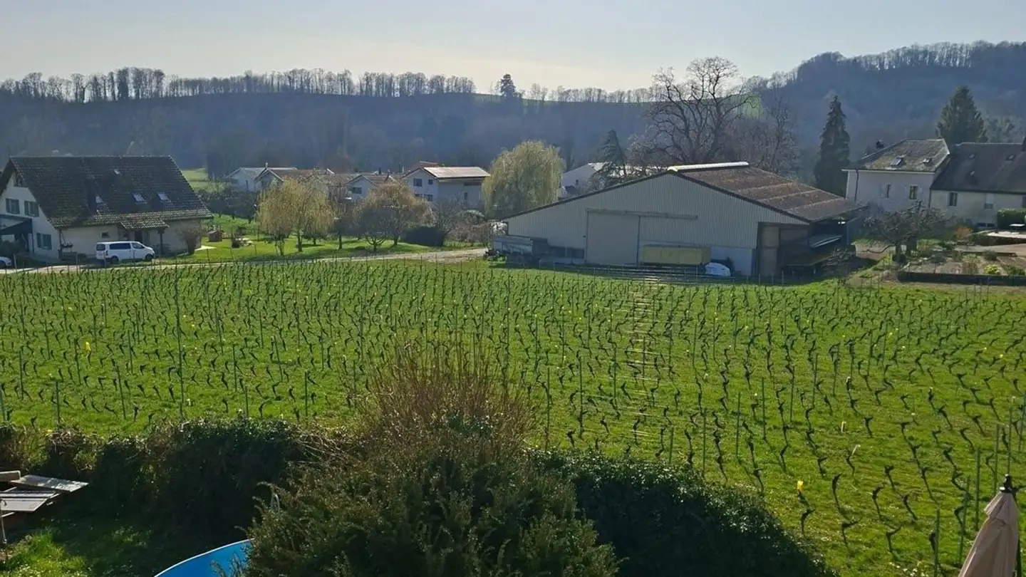 Appartement à louer - Route De Saint-Prex 4, 1168 Villars-sous-Yens - Photo 2