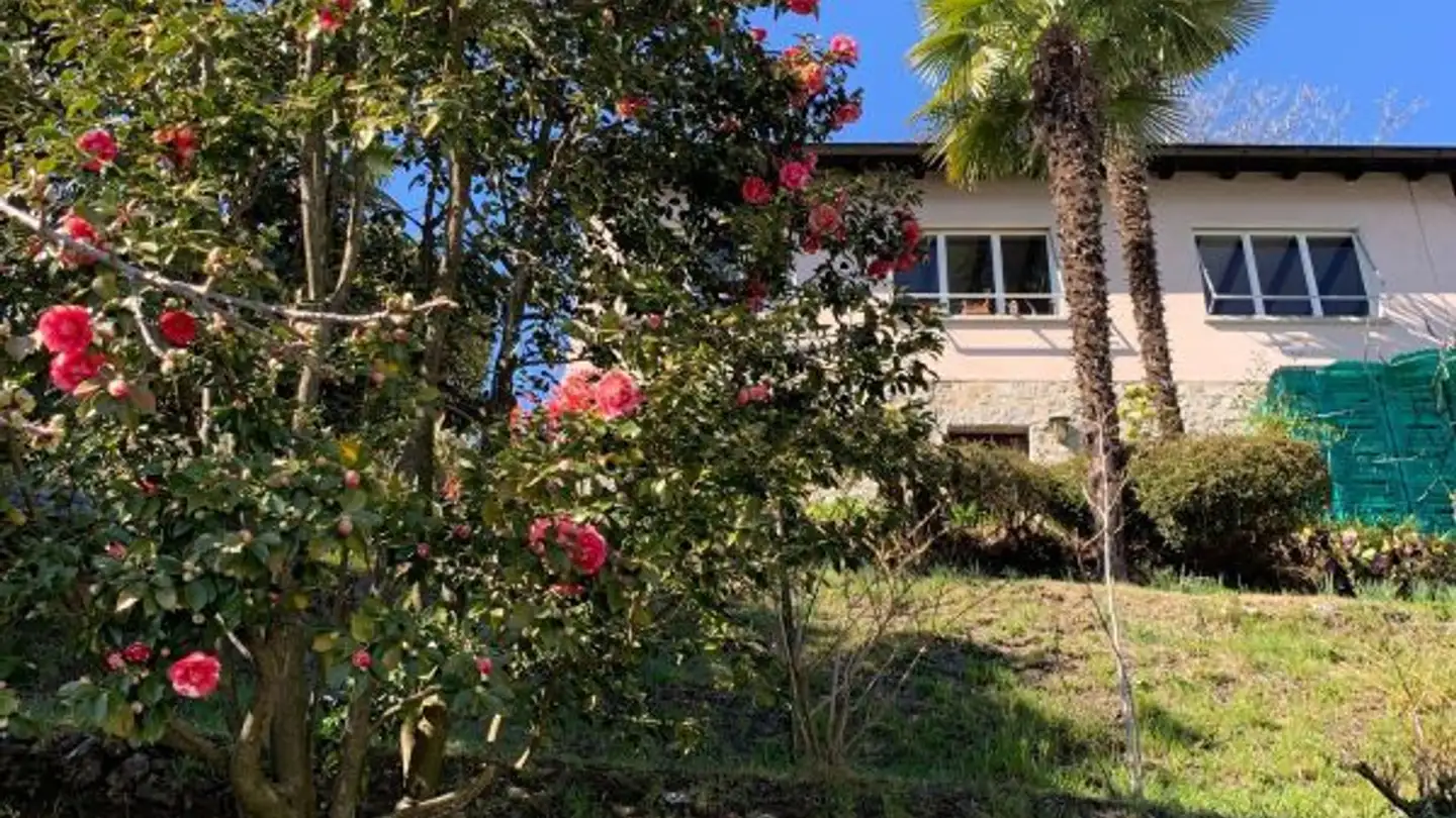 Constructible plot for sale - Via Patocchi, 6644 Orselina - Photo 3