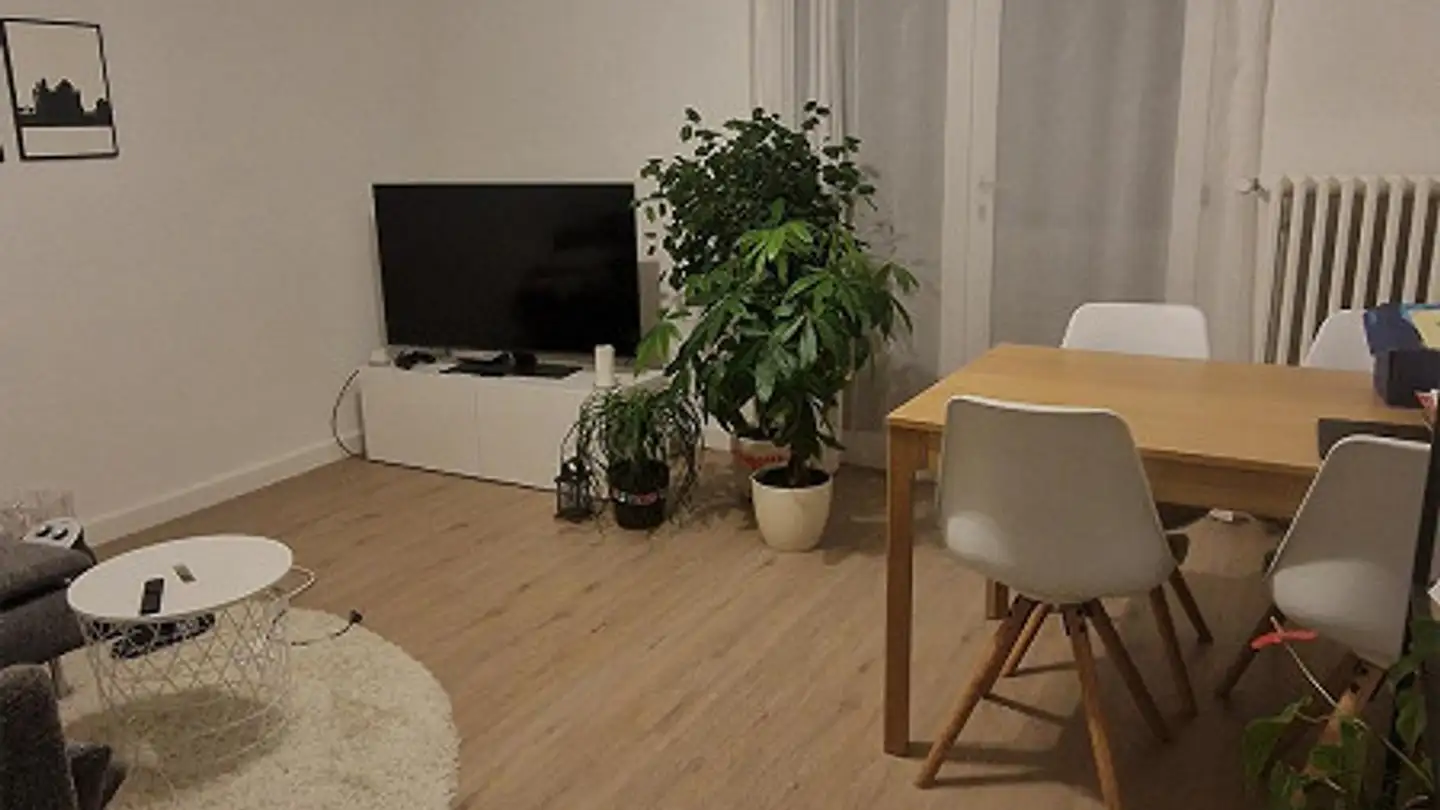 Appartamento in affitto - Bruderhöflistrasse, 8203 Schaffhausen - Foto 4