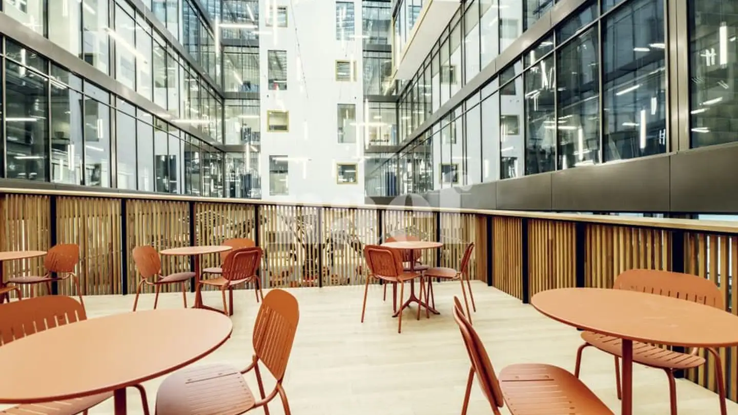 Commercial à louer - Chemin Du Champ-Des-Filles 4, 1228 Plan-les-Ouates - Photo 4