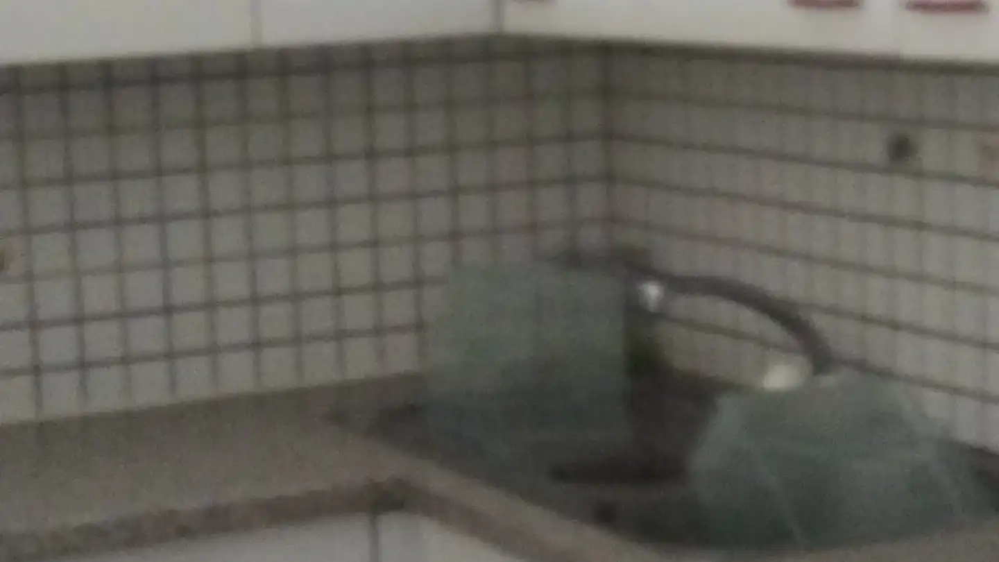 Appartamento in affitto - Via Ai Chiossi 23, 6518 Gorduno