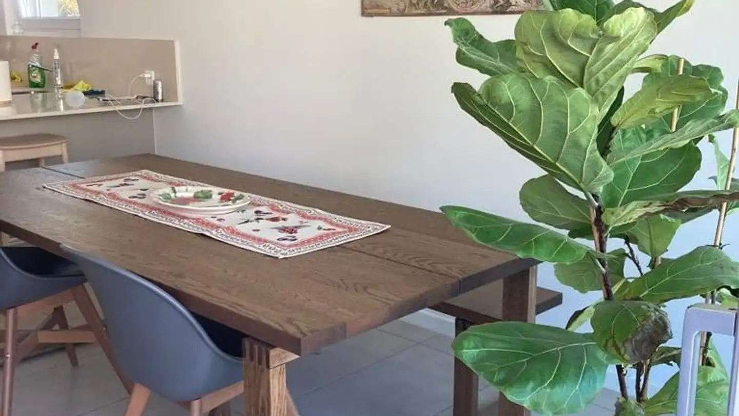 Appartement à louer - Strada Da Nuranch, 6915 Pambio-Noranco - Photo 2