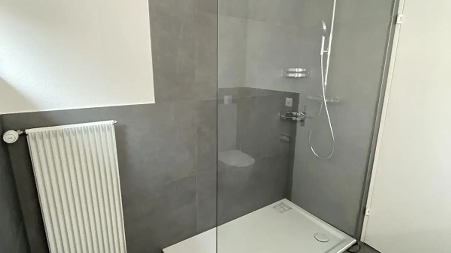 Stepped house for rent - Goldbrunnenstrasse 20, 4410 Liestal - Photo 2