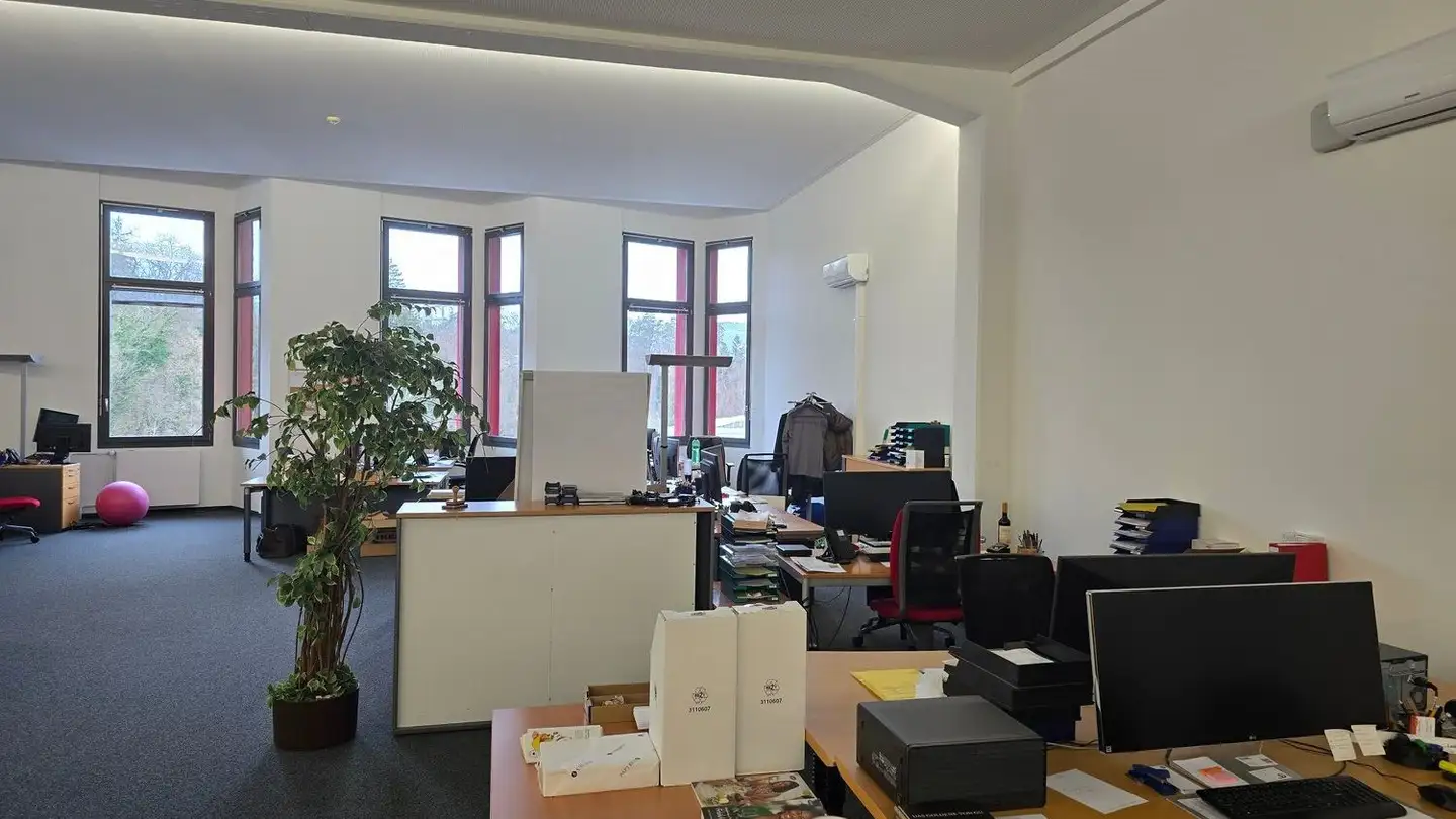 Gewerbe mieten - Spinnerei-Lettenstrasse 2, 8192 Zweidlen - Foto 2