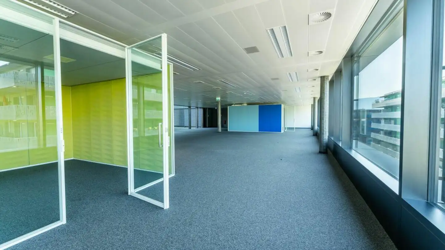 Commerciale in affitto - Chemin Du Château-Bloch 11, 1219 Le Lignon - Foto 2