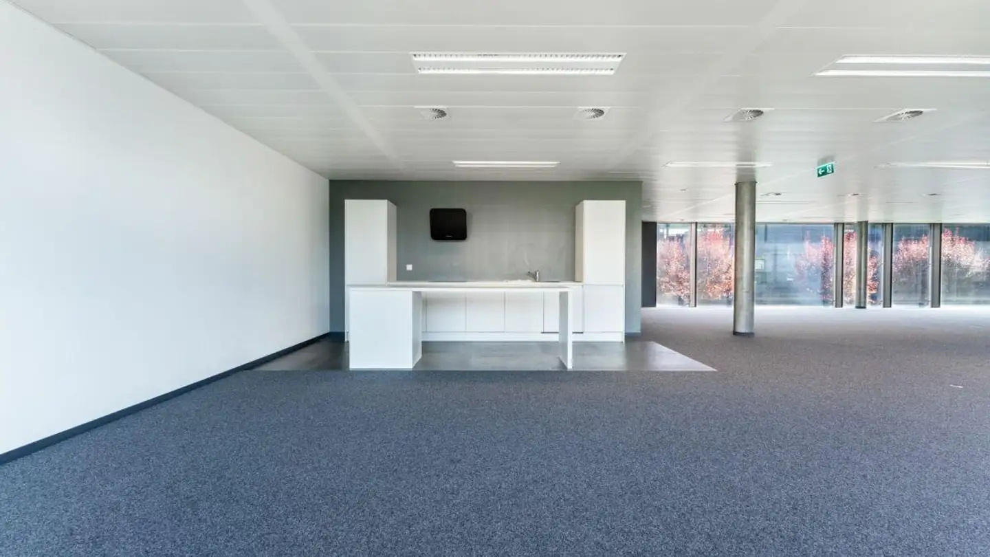 Commerciale in affitto - Chemin Du Château-Bloch 11, 1219 Le Lignon - Foto 3