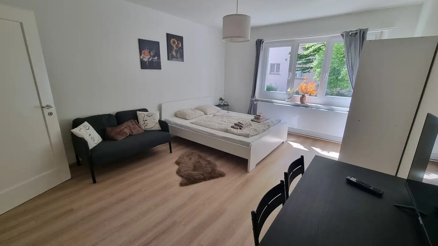 Furnished apartment for rent - Schwendenweg, 8003 Zürich - Photo 2