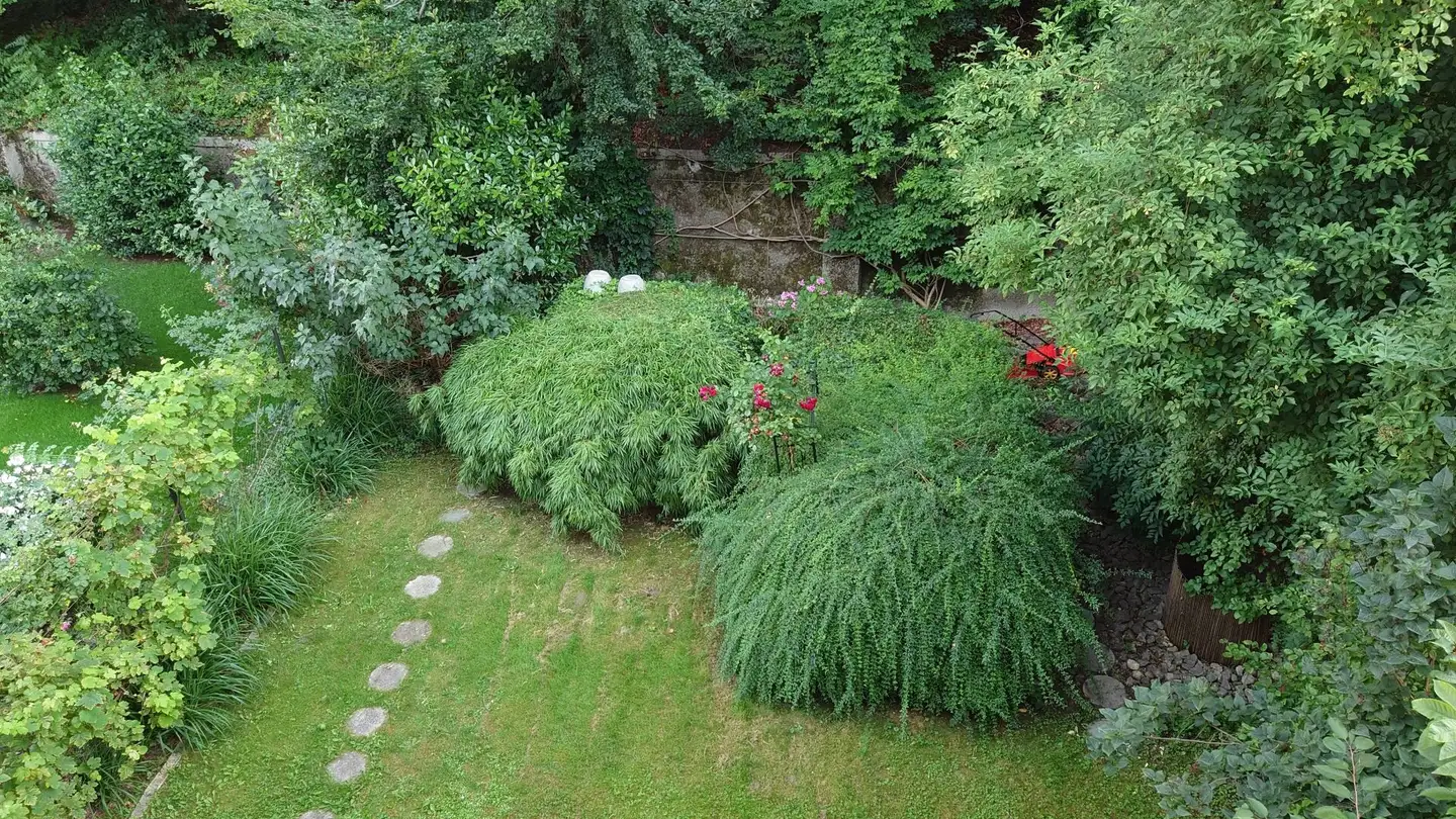 Apartment for sale - Kernmattstrasse 23, 4102 Binningen