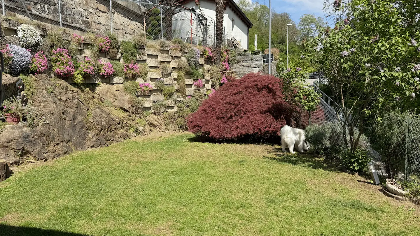 Casa singola in vendita - 6982 Agno - Foto 4