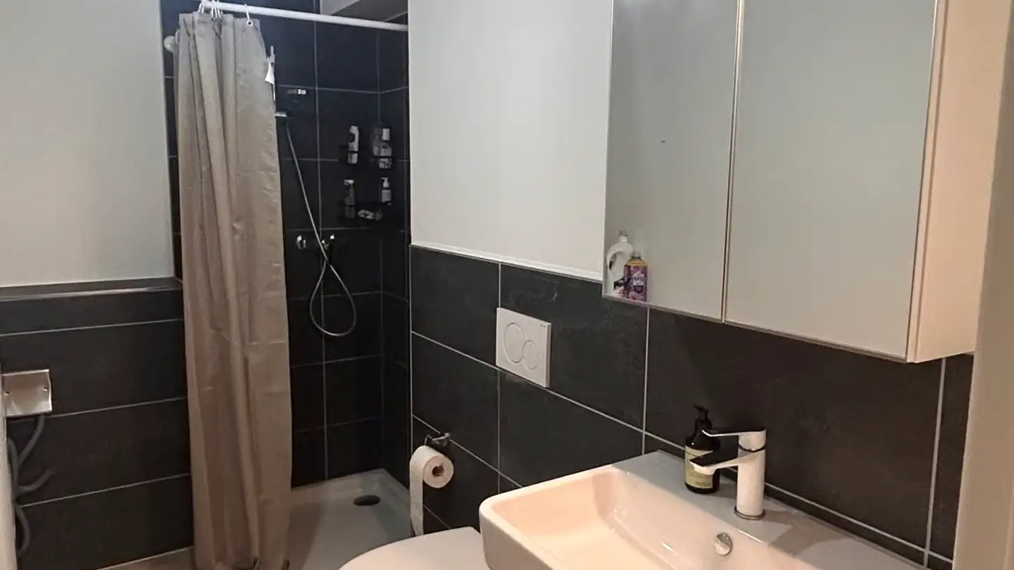 Appartement à louer - Hauptstrasse, 5013 Niedergösgen - Photo 4