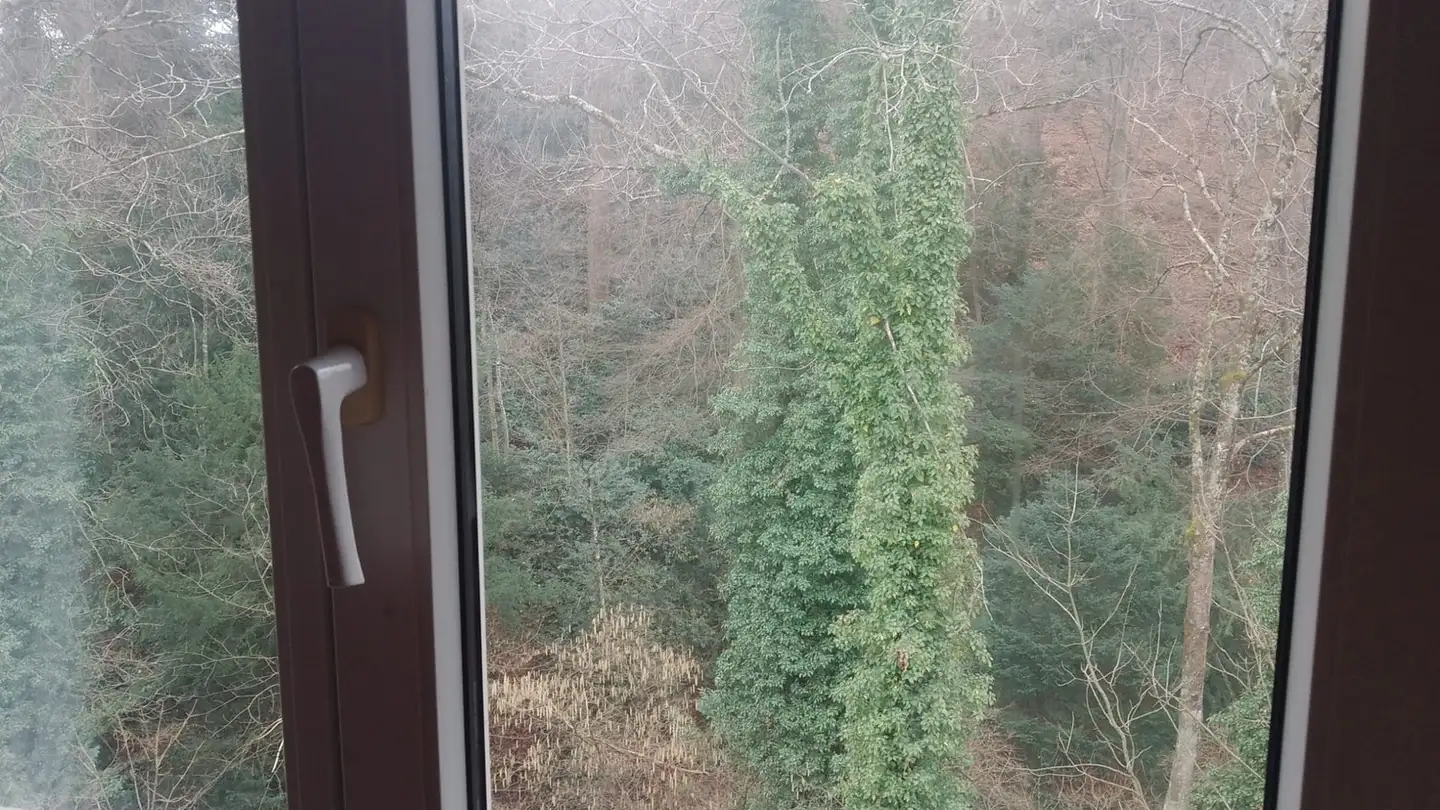 Single room for rent - 1006 Lausanne - Photo 4