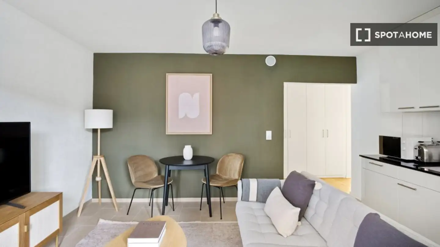 Wohnung mieten - 8050 Zürich