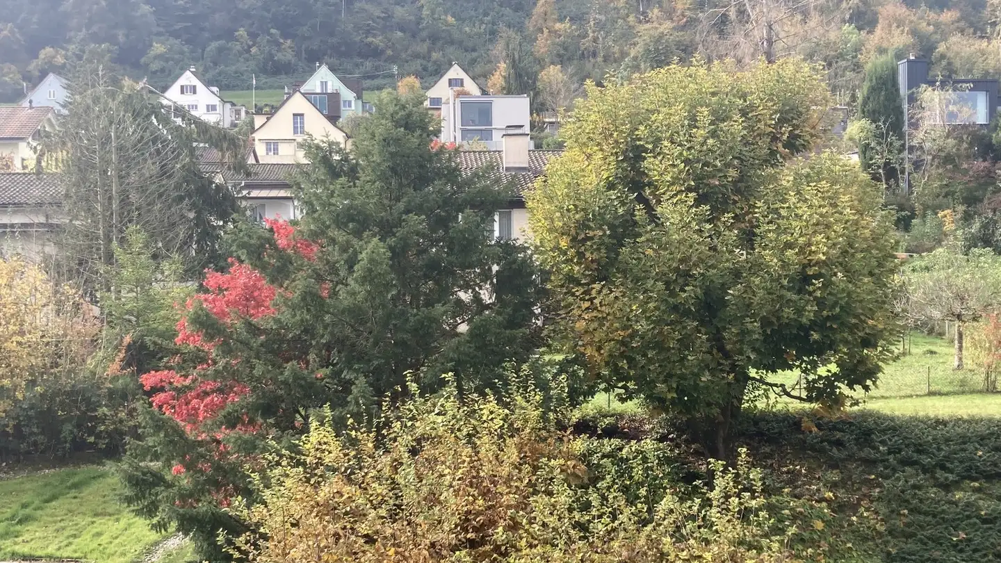 Appartamento in affitto - 8047 Zürich - Foto 2