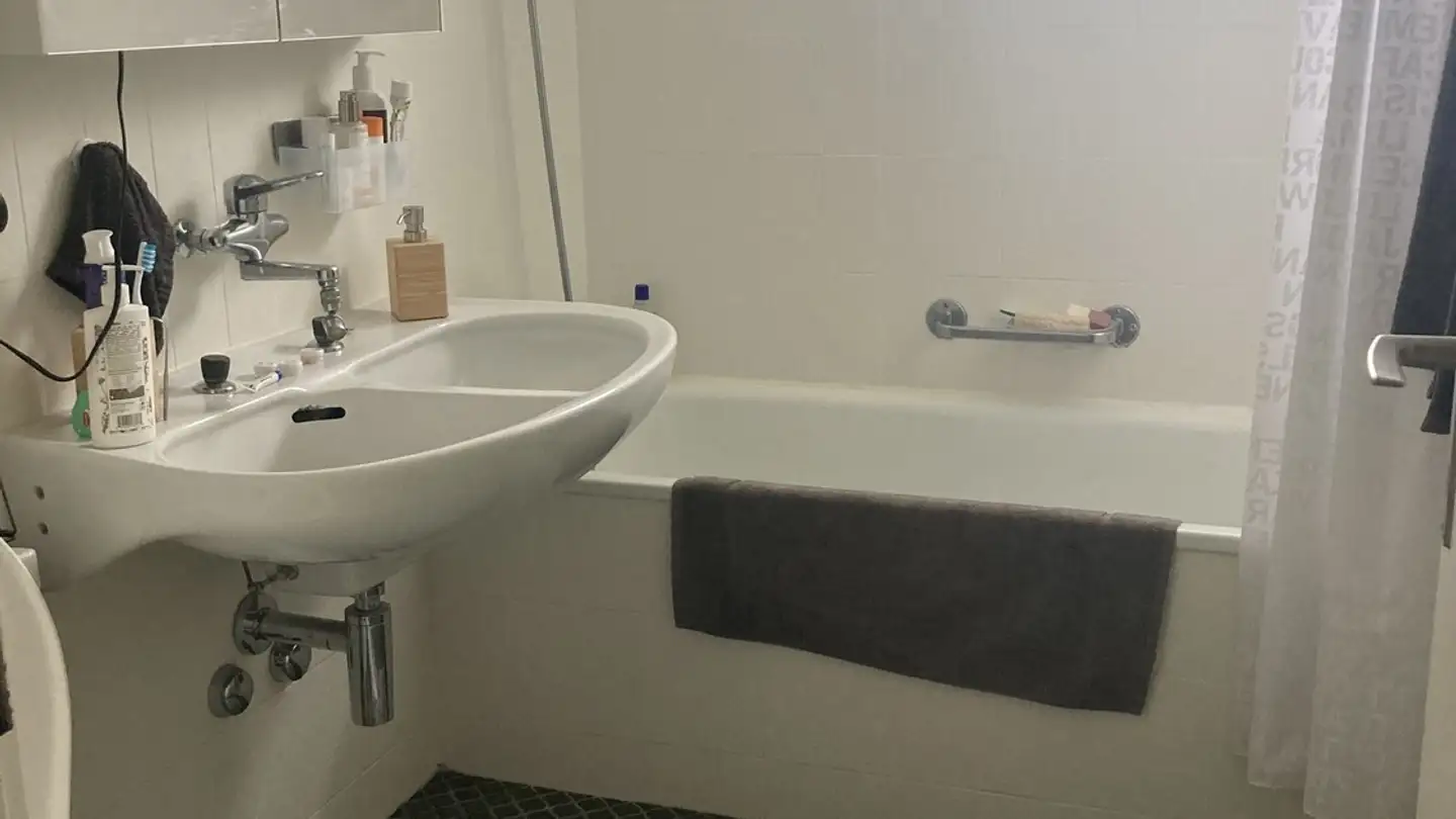 Appartamento in affitto - 8047 Zürich - Foto 3