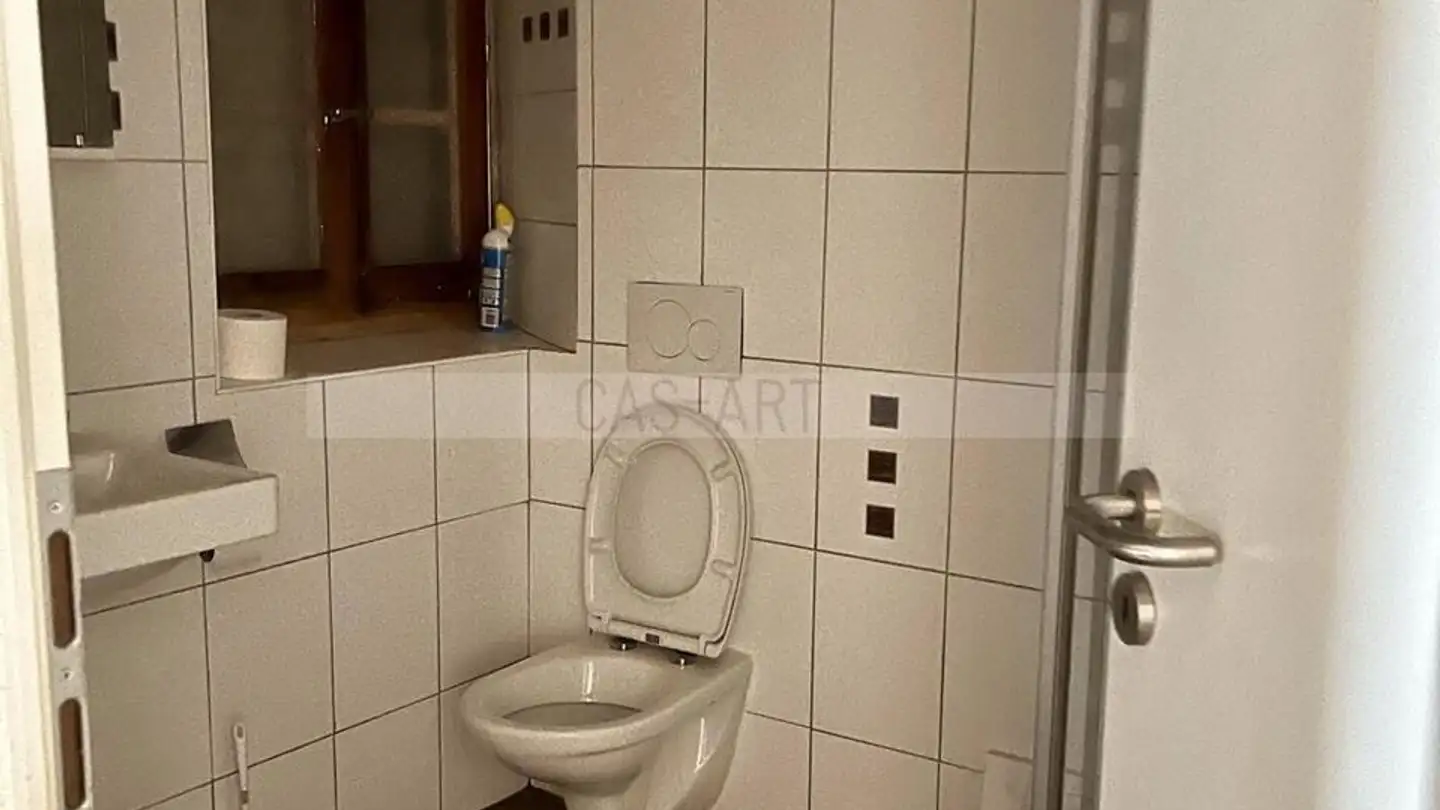 Single house for sale - 1669 Albeuve - Photo 4