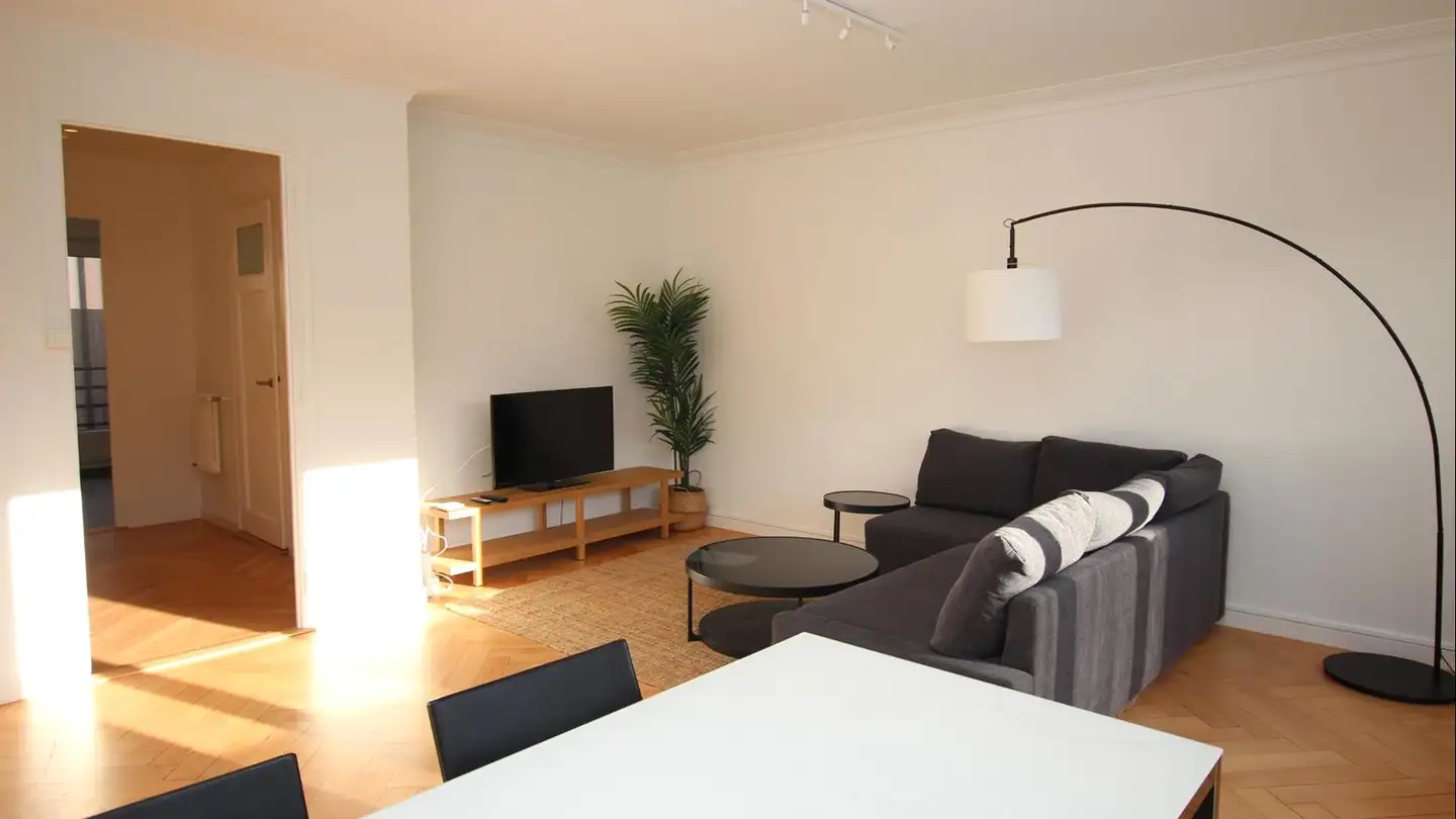 Appartamento ammobiliato in affitto - Rue Goetz-Monin 25, 1205 Genève - Foto 2