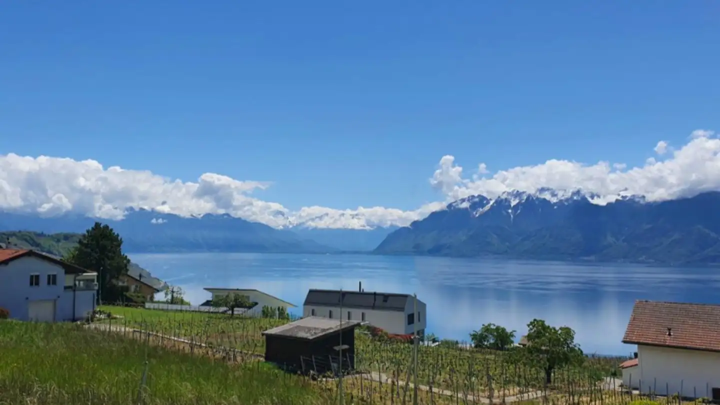 Attique à vendre - 1091 Grandvaux