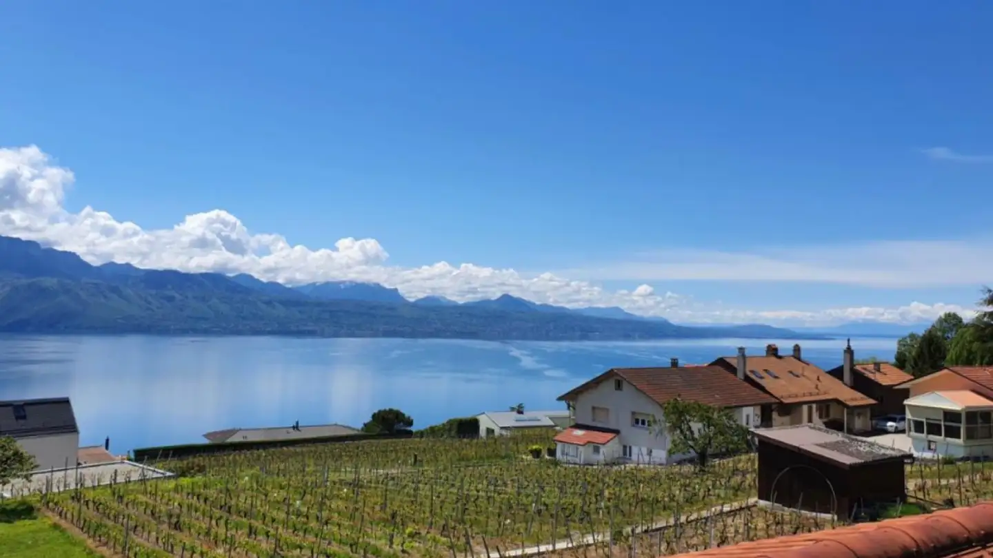 Attique à vendre - 1091 Grandvaux - Photo 2