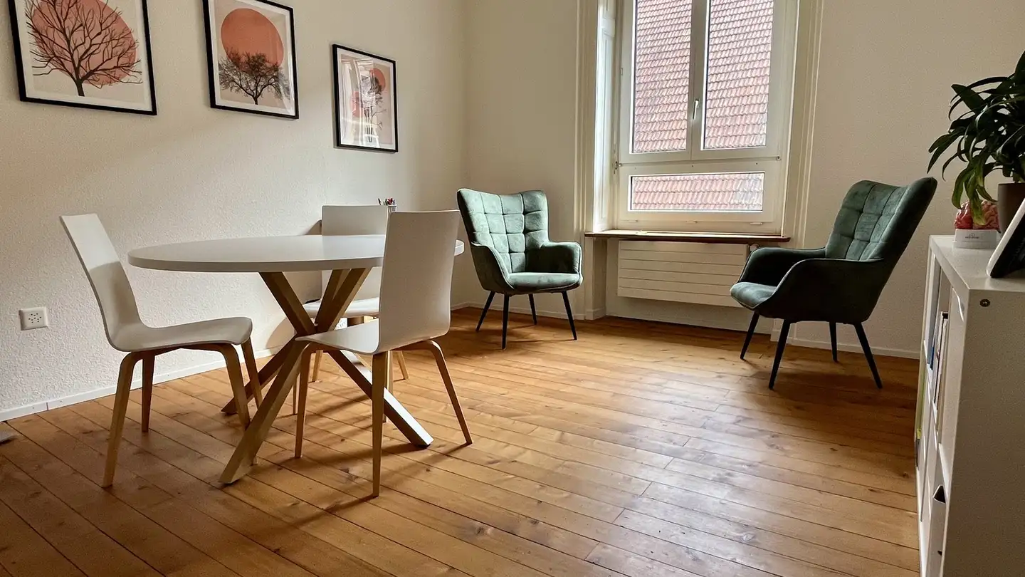 Commerciale in affitto - Annerstrasse 10, 5200 Brugg AG