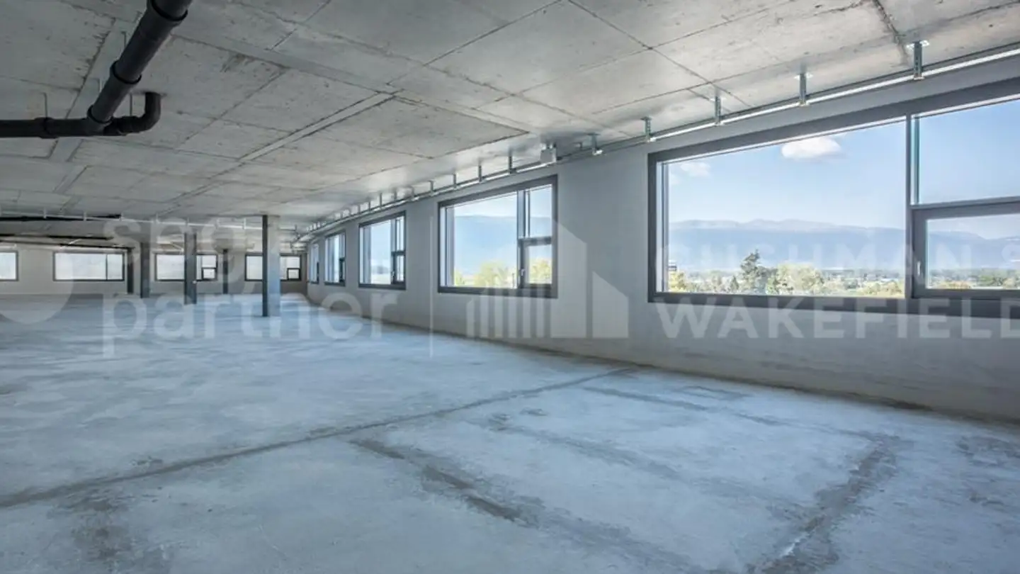 Lagerraum mieten - Chemin De La Caroline 16, 1213 Petit-Lancy - Foto 2