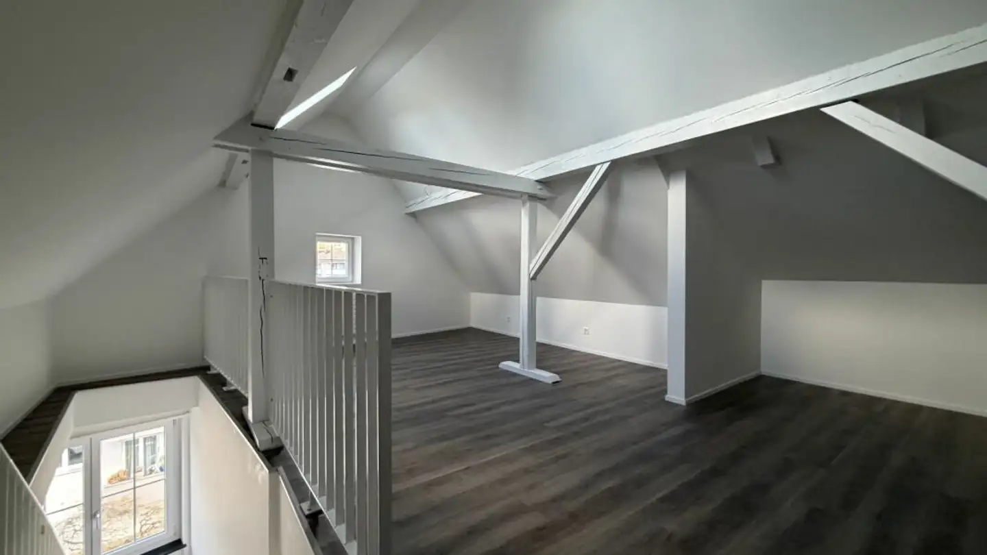Duplex in affitto - Witikonerstrasse 423, 8053 Zürich