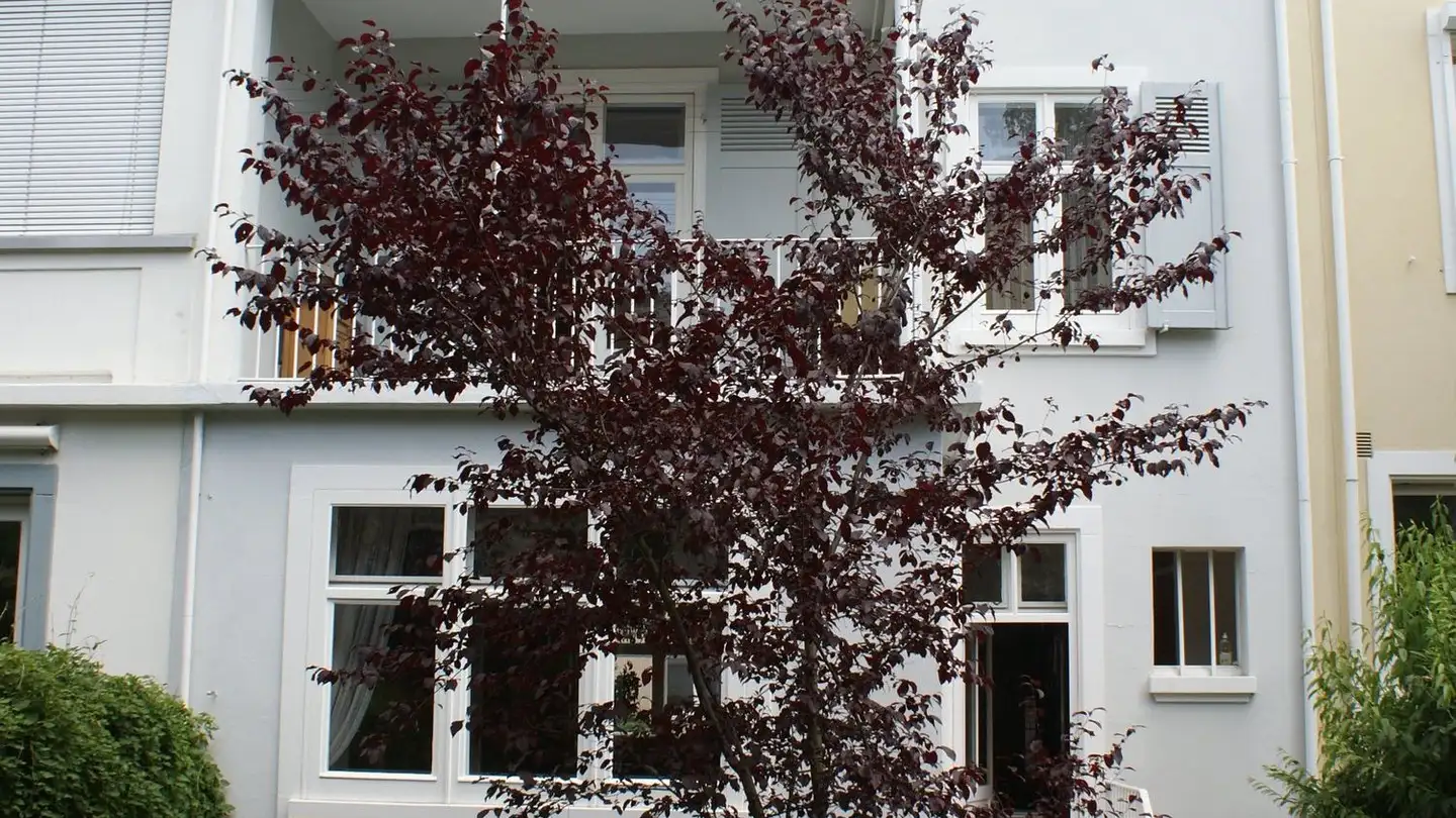 Row house for rent - Glaserbergstrasse 70, 4056 Basel - Photo 2