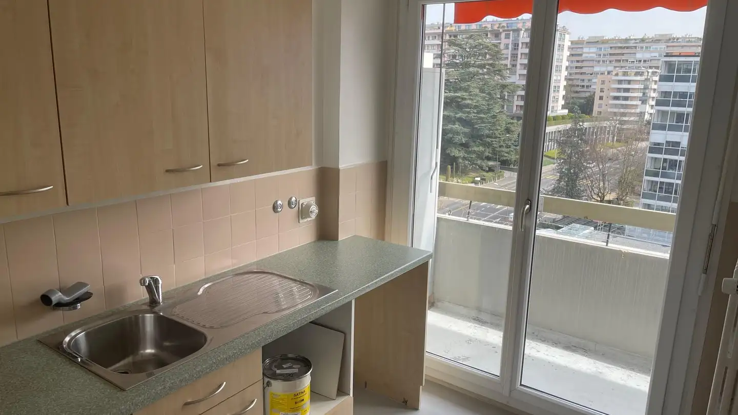 Appartement à vendre - Route de Florissant, 1206 Genève - Photo 2