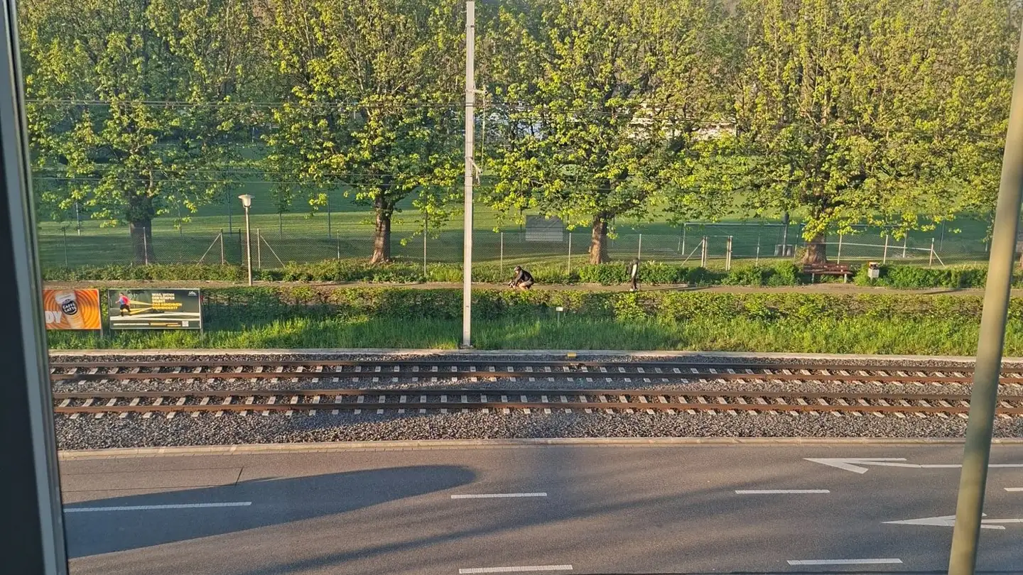 Chambre à louer - 4132 Muttenz - Photo 3