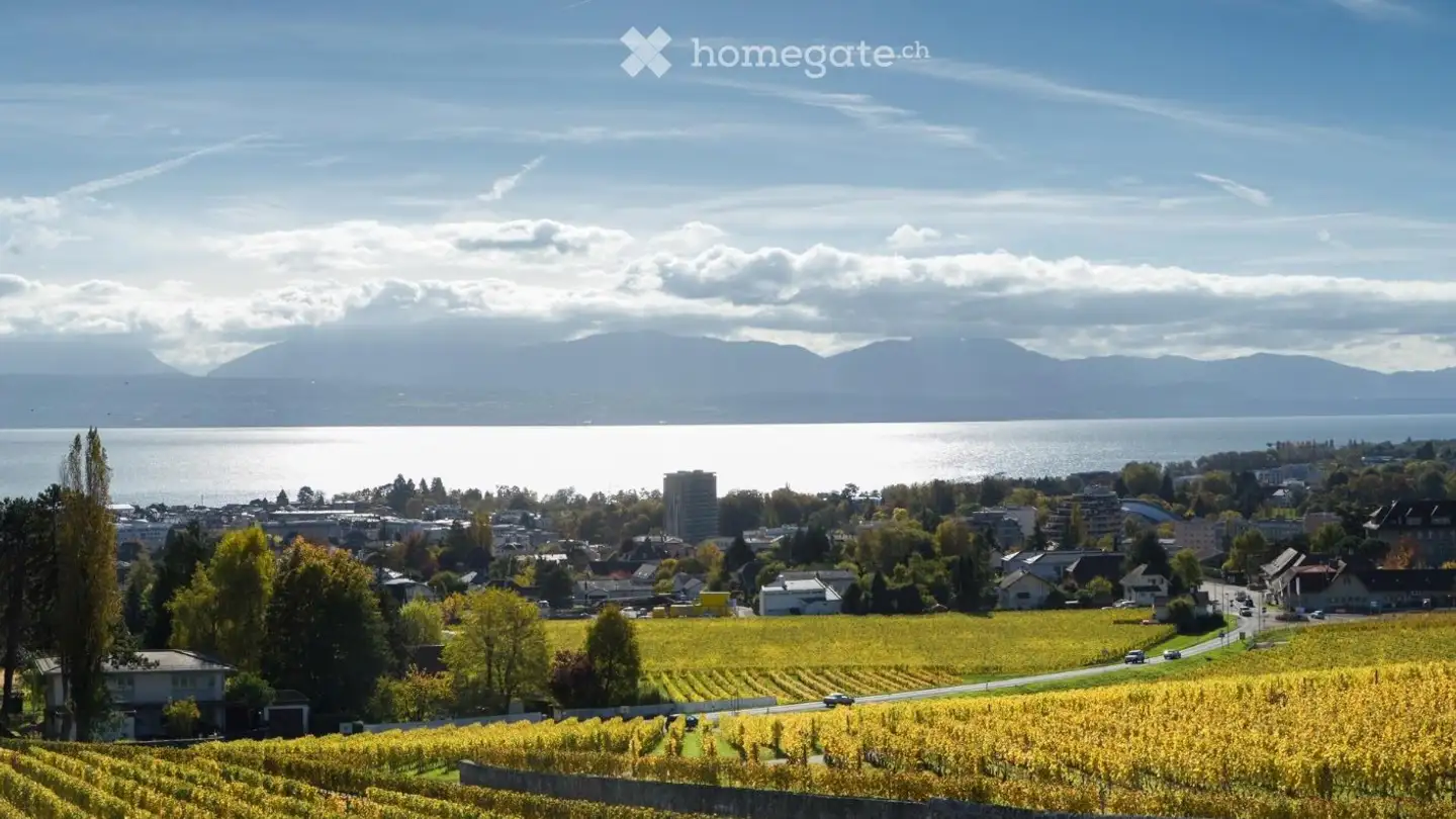 Einfamilienhaus mieten - 1110 Morges