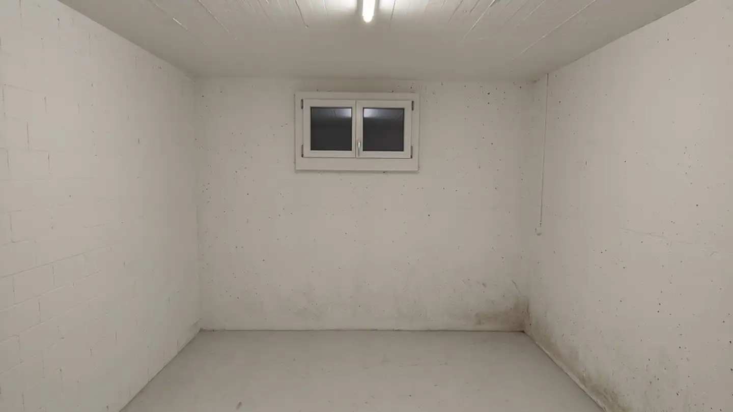 Spazio di archiviazione in affitto - Hofackerstrasse 48, 8964 Rudolfstetten - Photo 2