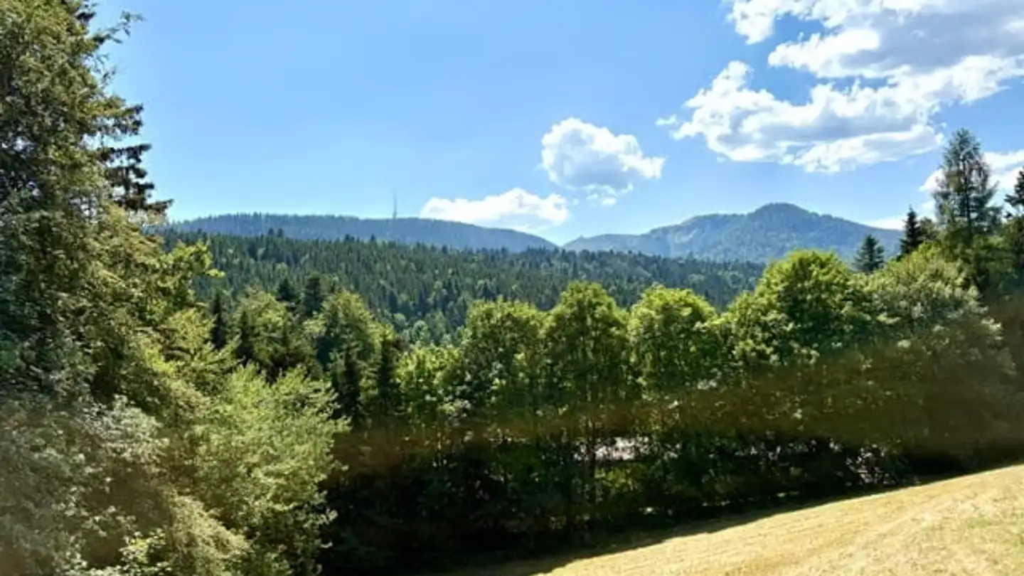 Apartment for sale - Route Des Cheseaux-Dessus, 1264 St-Cergue