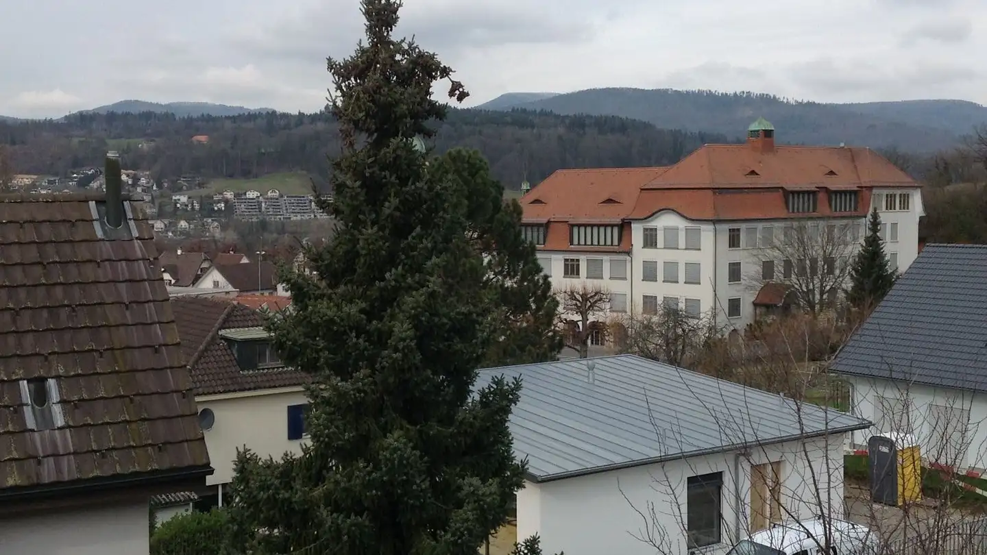 Casa bifamiliare in affitto - Holzstrasse 10, 5012 Schönenwerd - Photo 4