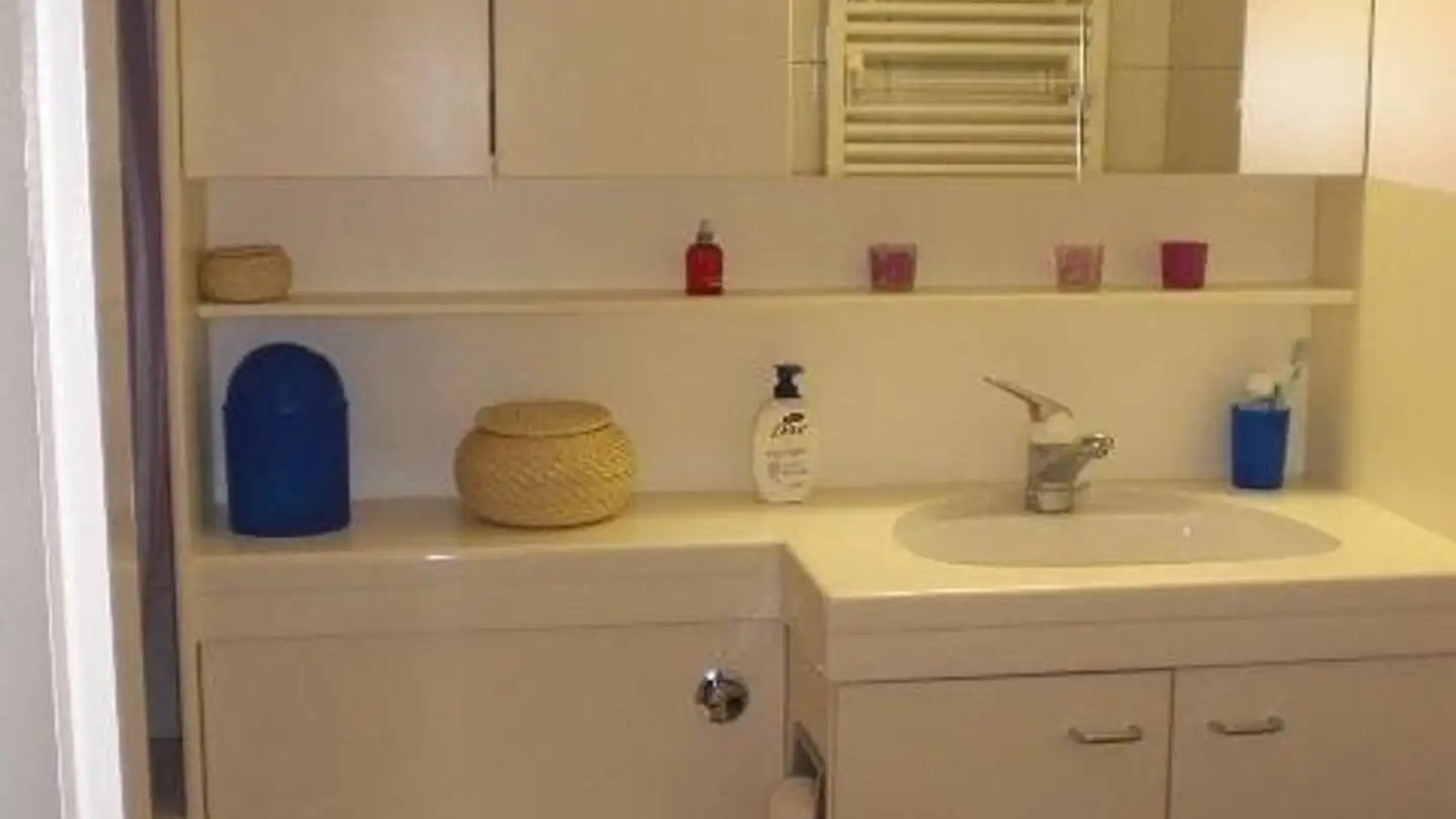 Wohnung mieten - Breitistrasse 19, 8953 Dietikon - Foto 4