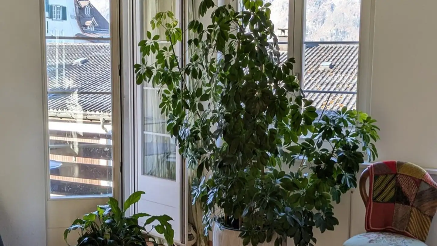 Apartment for rent - Hertenackerstrasse 18, 8753 Mollis