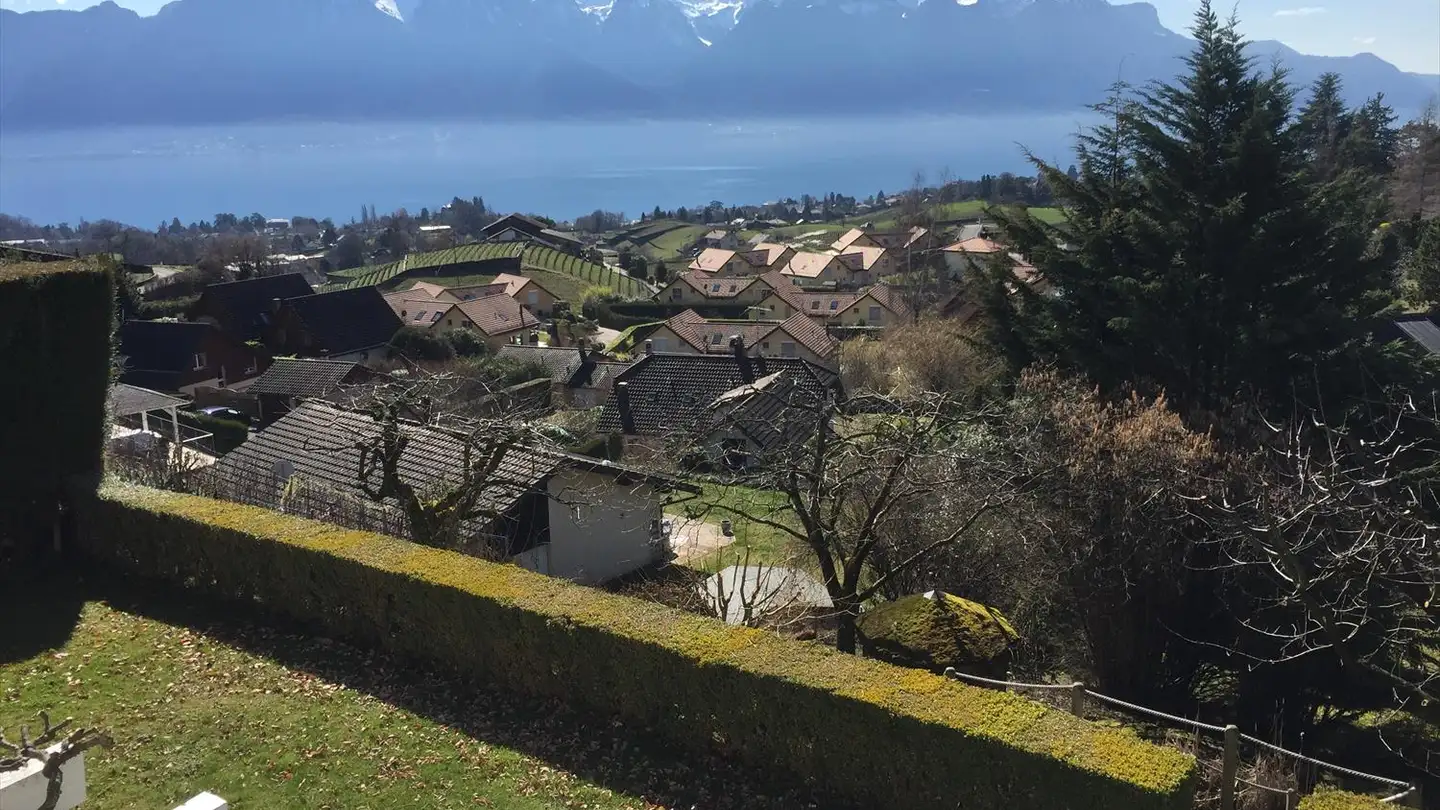 Villa in affitto - Chemin De Mottex 33, 1807 Blonay - Photo 3