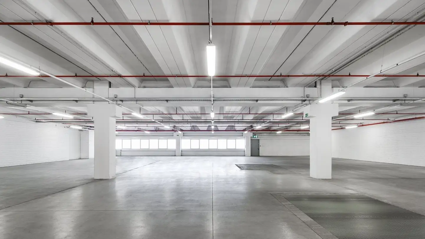 Proprietà industriale in affitto - Ai Cióss 11, 6593 Cadenazzo - Foto 2