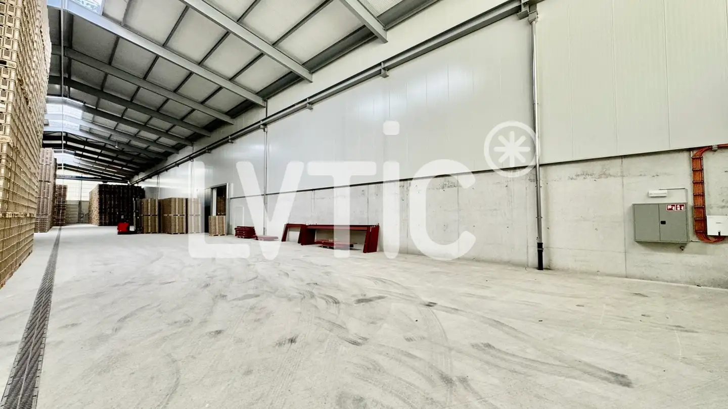 Spazio di archiviazione in affitto - 1530 Payerne - Photo 2