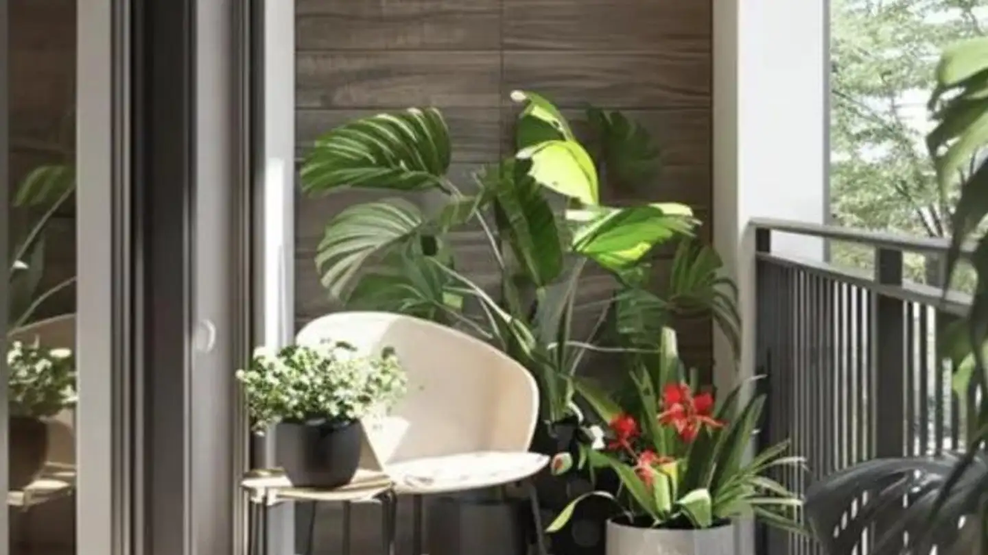 Terrassenwohnung kaufen - 1206 Genève