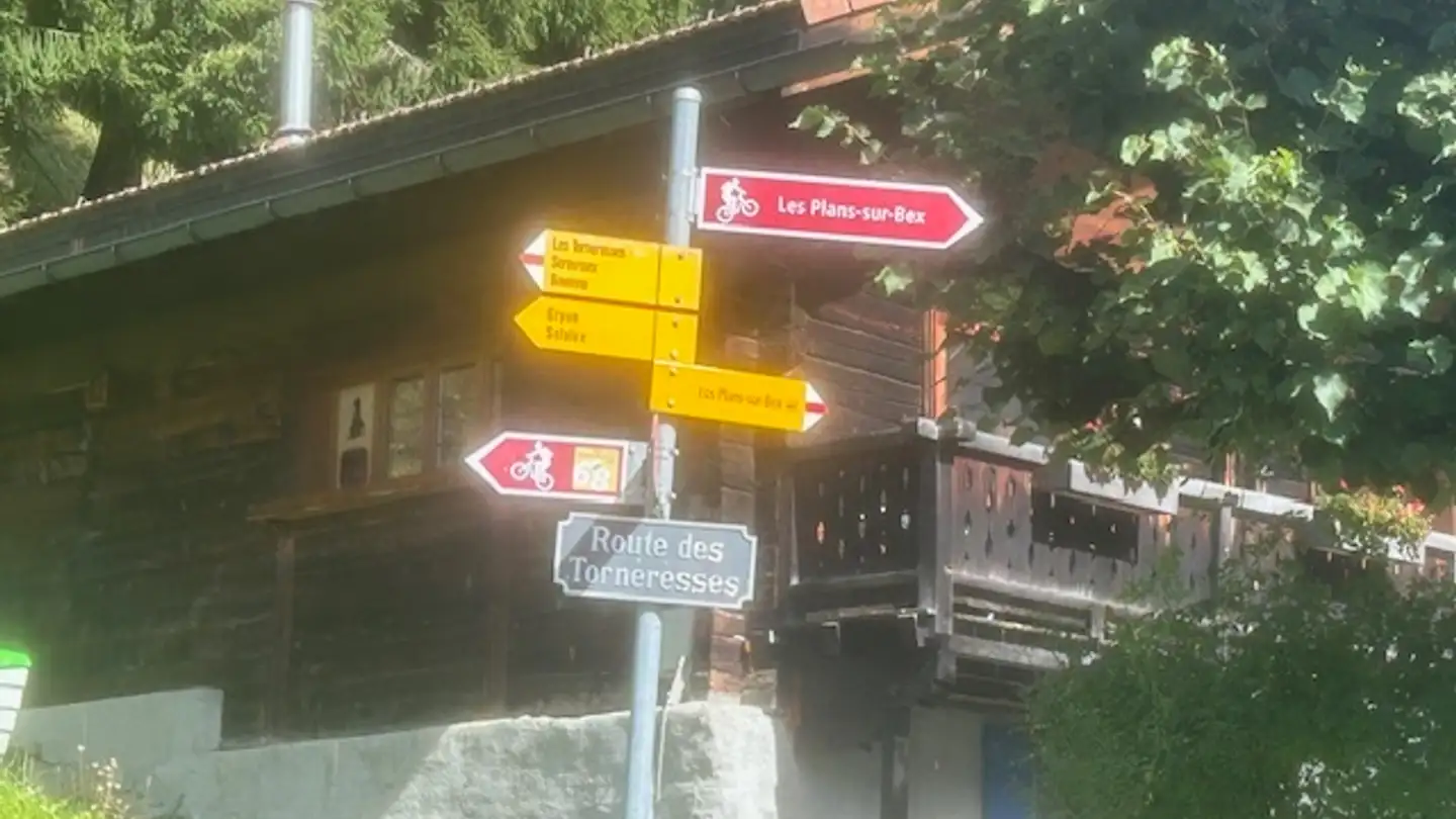 Chalet in vendita - Route Du Village 27, 1880 Les Plans-sur-Bex - Photo 3